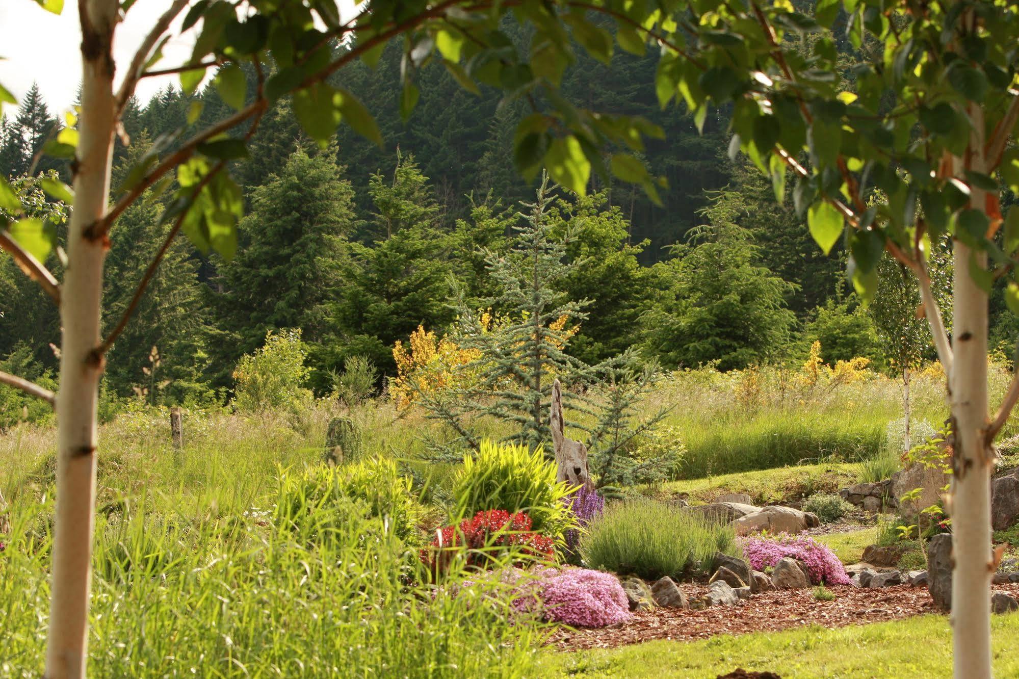 Carson Ridge Luxury Cabins 외부 사진