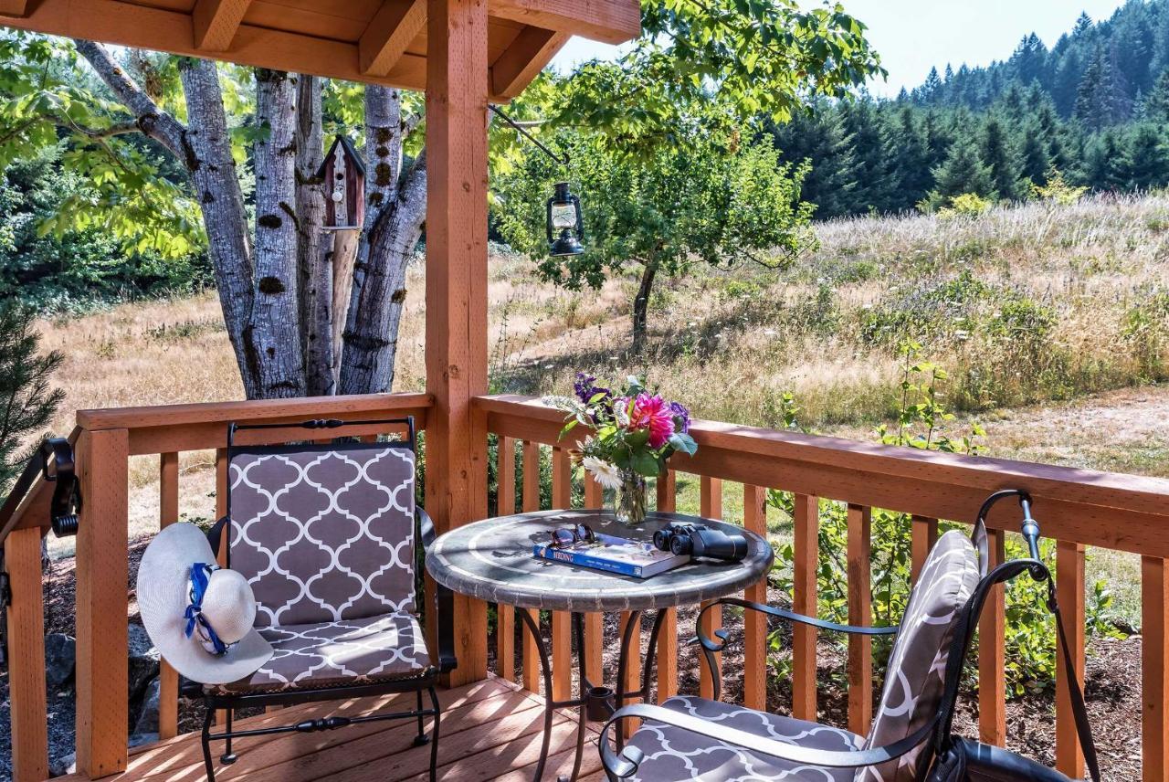 Carson Ridge Luxury Cabins 외부 사진